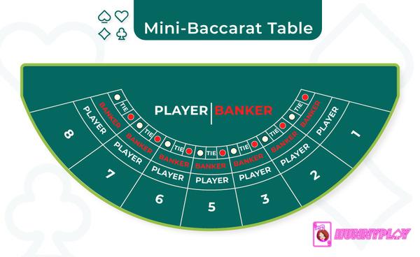 Mini-Baccarat Table (Image Source: chipy.com)