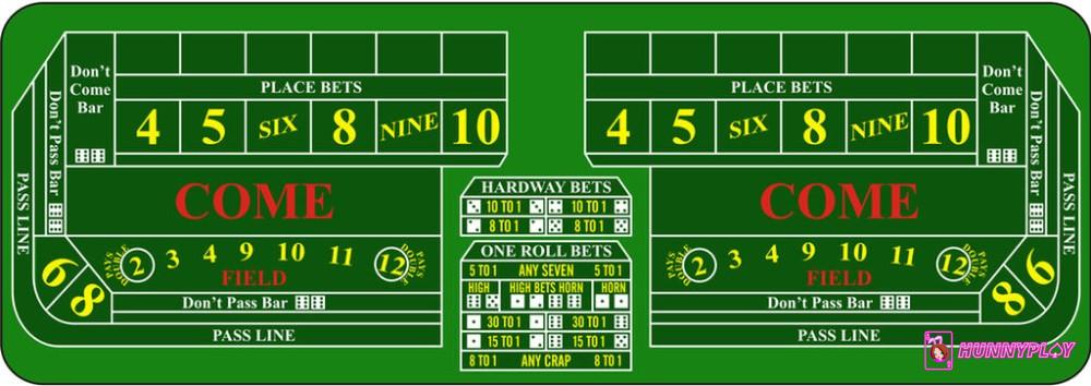 There are so many types of bets in Craps. 