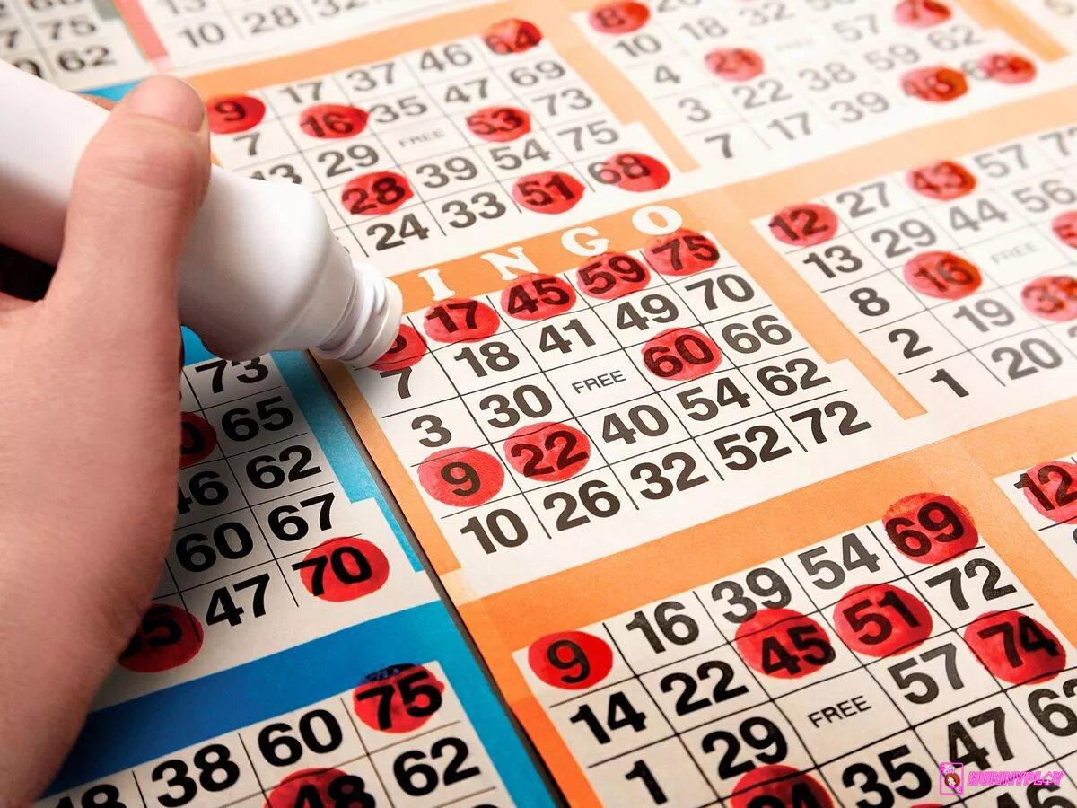 Bingo is an attractive game in real life and on online platforms.