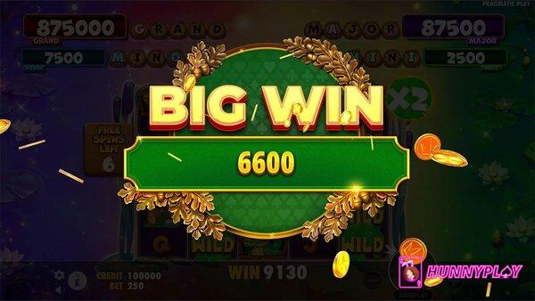 Big win in Tiny Toads slot