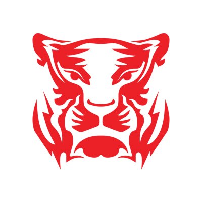 About Red Tiger Gaming