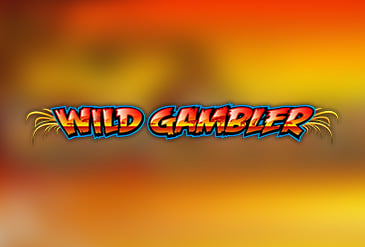 Wild Gambler Slot Slot Review