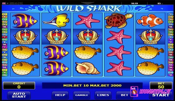 Main game screen of Wild Shark Slot