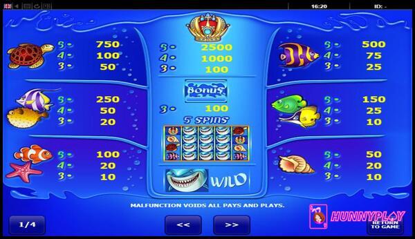 Symbols and payouts of Wild Shark Slot 